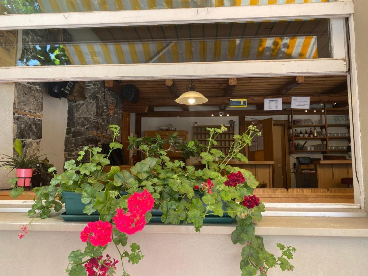 Hasli Lodge Meiringen Eksteriør billede
