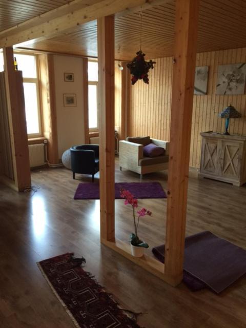 Hasli Lodge Meiringen Eksteriør billede